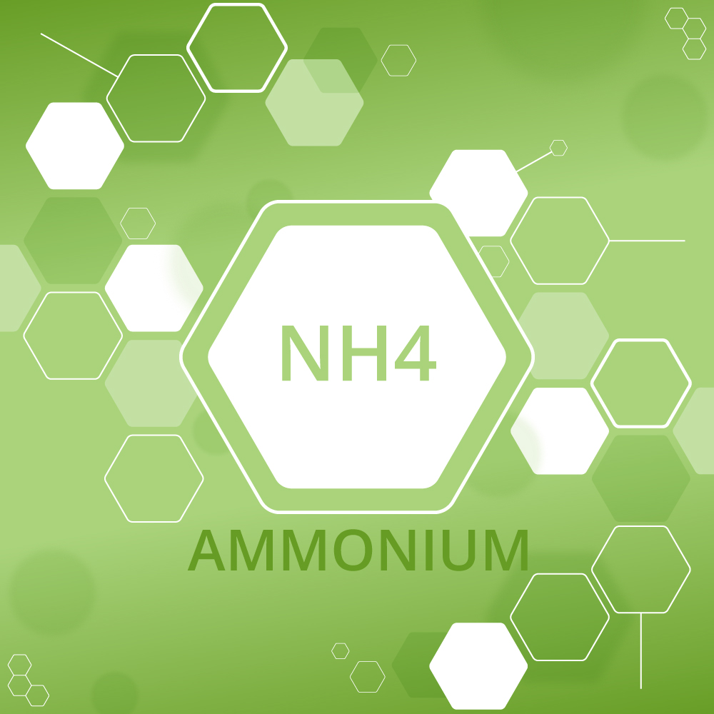 Ammonium | Inorganic Compounds, Mineral Salts & Chemical Products