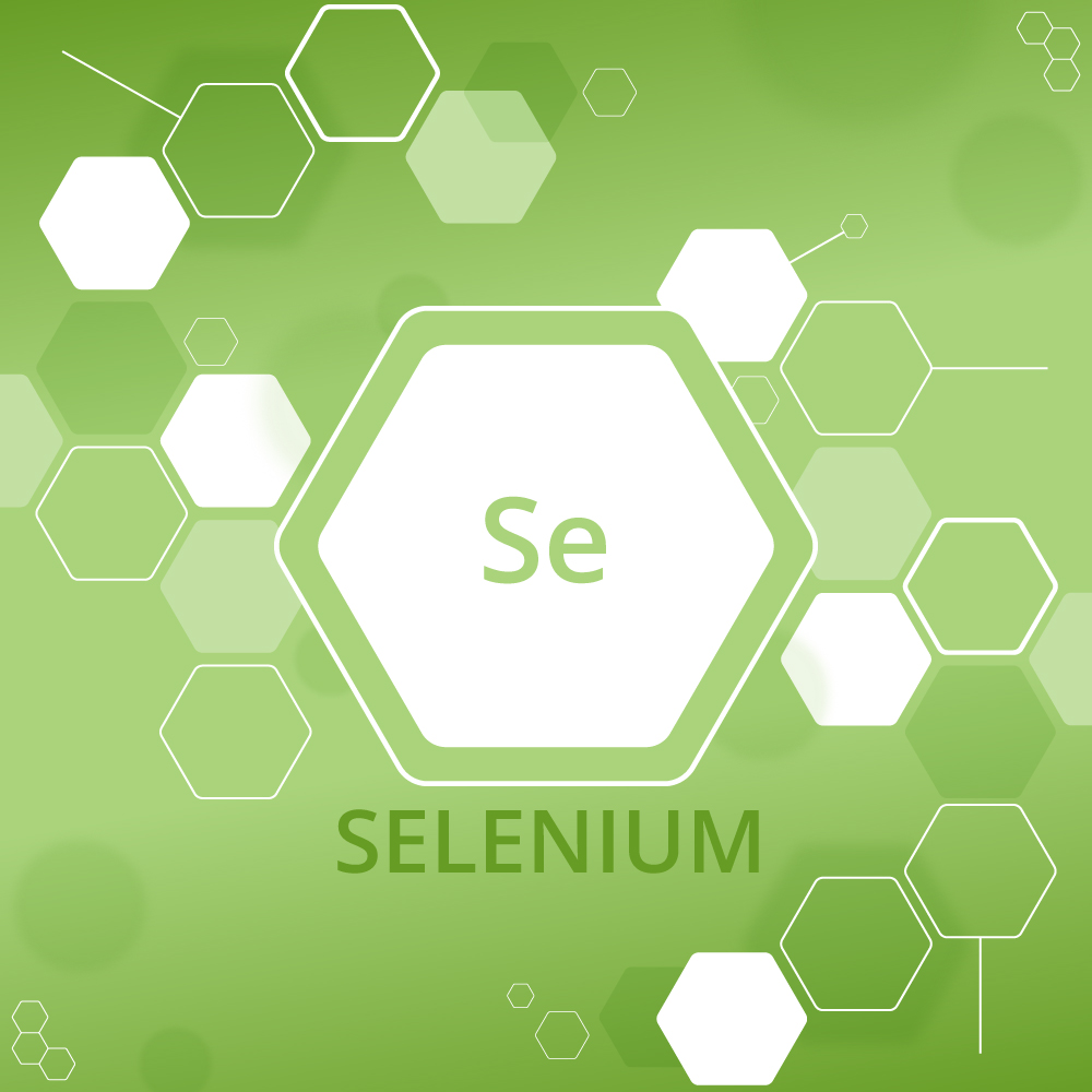 How to Click on Image in Selenium Webdriver